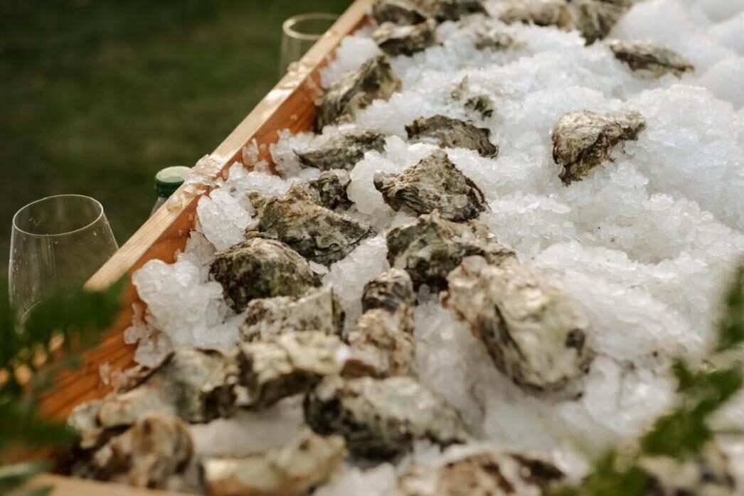 Ostras en hielo en el cóctel de La Malvasía de la Vega